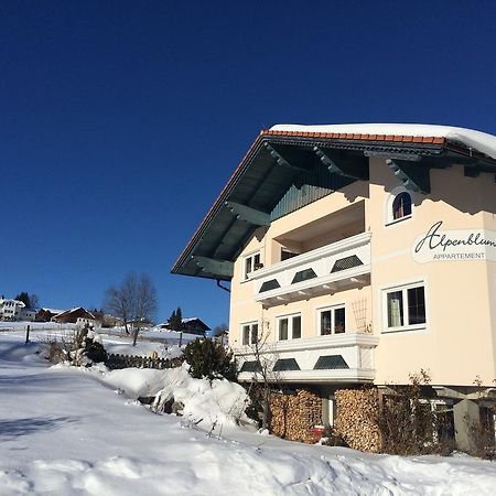 Appartement Alpenblume Schladming Extérieur photo