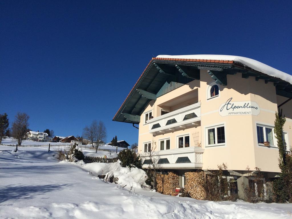 Appartement Alpenblume Schladming Extérieur photo